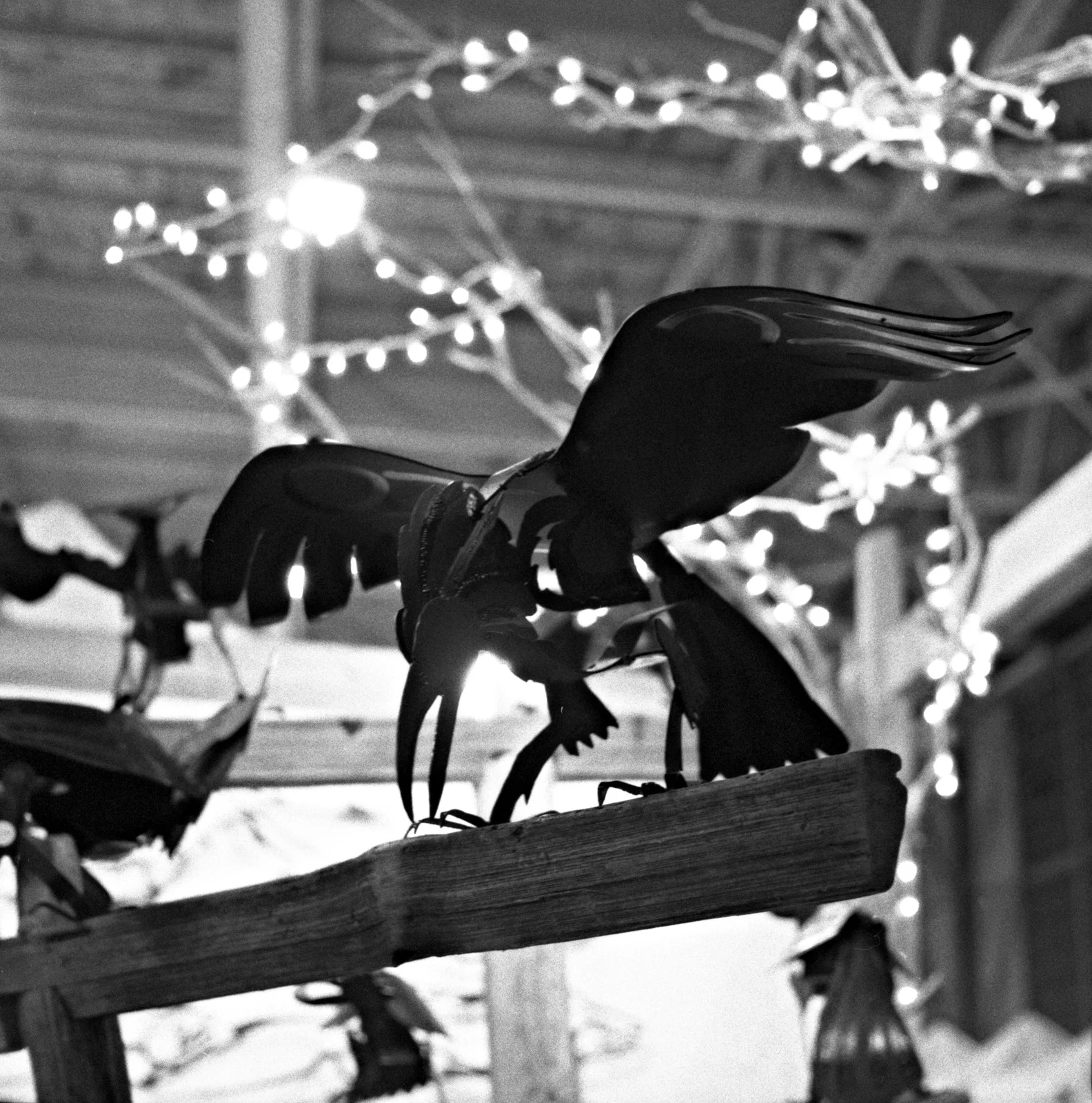 Metal Crow
