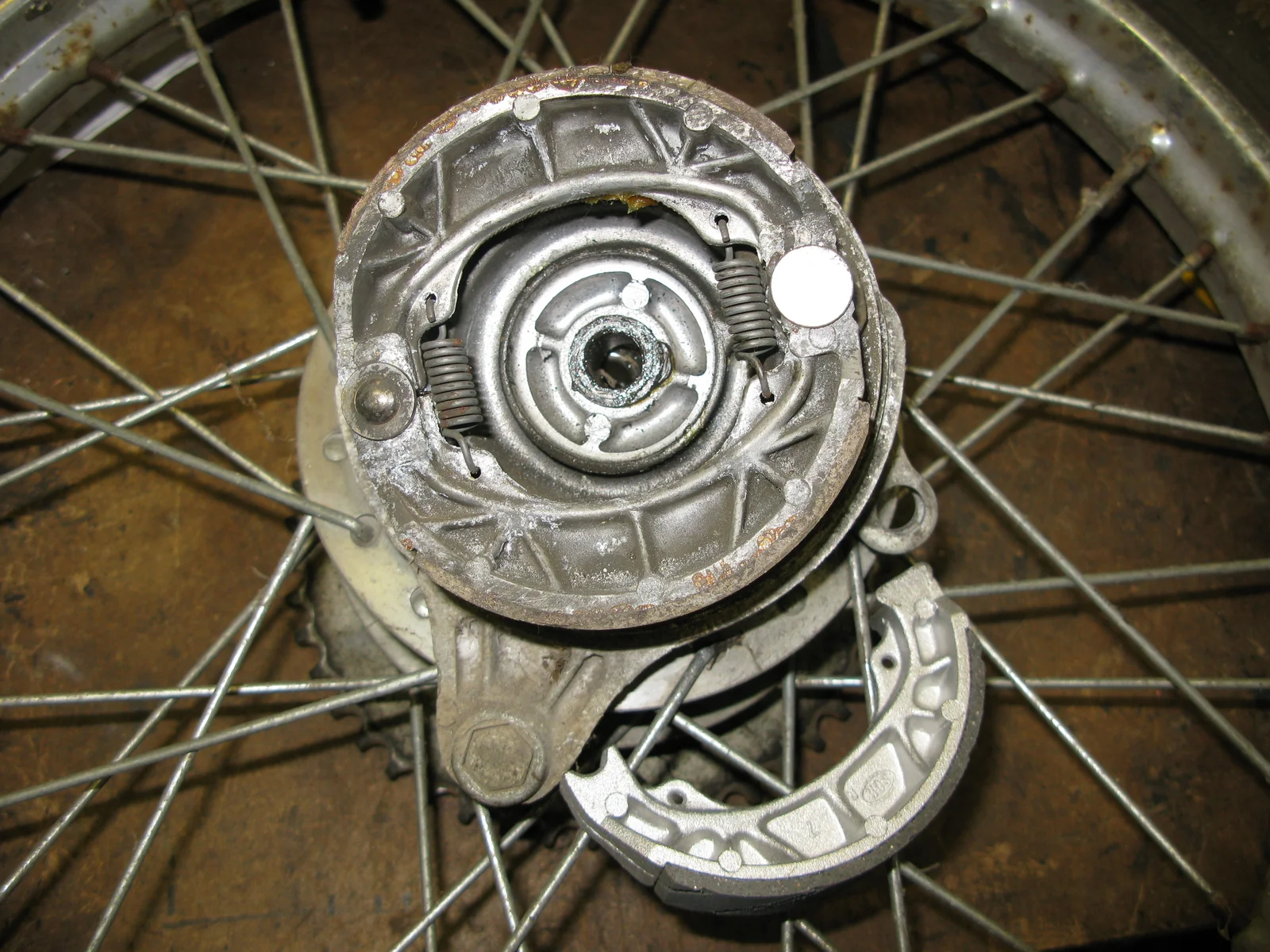 IMG_0061.JPG