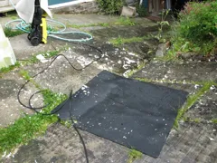 Paint that was on hood...