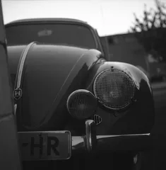 Beetle