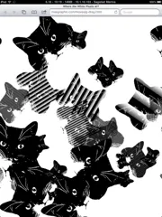 Strange zoom artifacts.