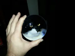 Sigrun in orb.